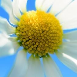 নিয়ে নিন আপনার ব্লগ এর জন্য কিছু দরকারি ওয়েবসাইট