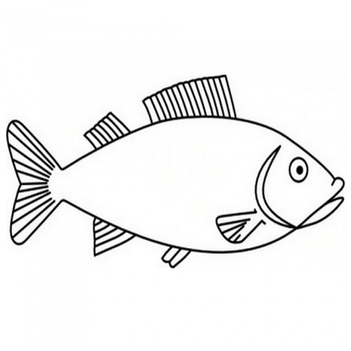 আপনি বা আপনার বাচ্চা আঁকতে পছন্দ করে? নিয়ে এলাম খুব সহজে অঙ্কন শেখার স্টেপ বাই স্টেপ ধারাবাহিক টিউটোরিয়াল পর্ব-৪ (শিখুন কীভাবে খুব সহজে একটি চমৎকার মাছ আঁকবেন)