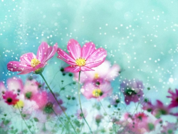 মাউস নষ্ট হয়েছে তো কি হয়েছে মাউস ছাড়া কাজ করুন