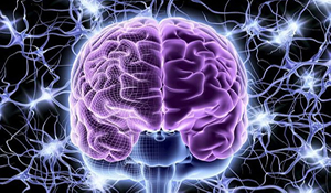 নিউরাল নেটওয়ার্ক | কেমন হবে যদি কম্পিউটার মানুষের মতো ভাবতে আরম্ভ করে? মানুষের ঘিলু ভার্সেস কম্পিউটার – মেগাটিউন!