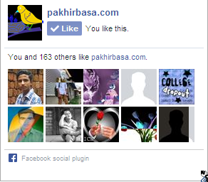 কিভাবে  অতি সহজেই আপনার  ব্লগস্পট সাইটে ফেইসবুক লাইক বক্স  অ্যাড করবেন দেখে নিন