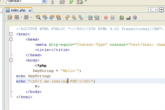 myfirst - NetBeans IDE 6.7.1