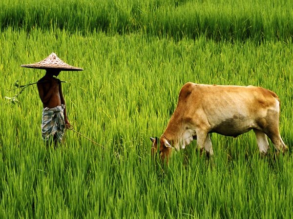 একটি ল্যাপটপ নিয়ে সমস্যায় পরেছি, সাহায্যকারীকে ৫০০ টাকা বকশিশ দেওয়া হবে।