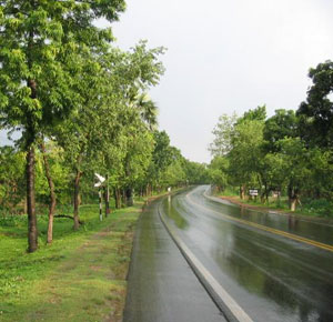 এ্যাফেলিয়েট মার্কেটিয়ার উস্তাদদের নিকট সাহায্য চাই