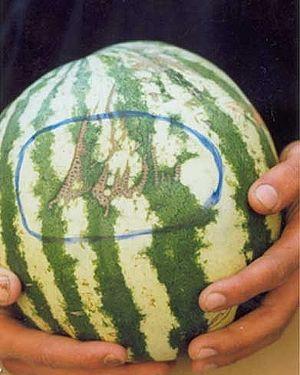 বৈপ্লবিক দৃষ্টিতে বিশ্বস্রষ্টার অস্তিত্ব