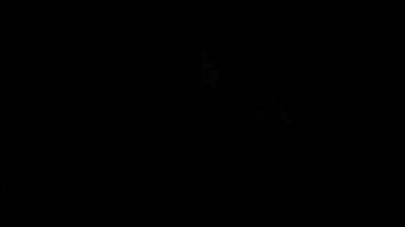 প্রতি দিন আয় করুন 7$ থেকে 8$। টাকা উঠানোর কোন লিমিট নাই। যে টাকা আয় করবেন সেটাই তুলতে পারবেন