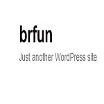ওয়ার্ডপ্রেসে নতুন থিম ইনস্টলে সমম্যা ××সমাধান চাই××