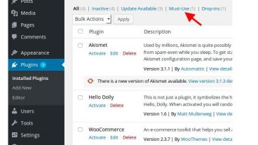 আপনি কি ওয়ার্ডপ্রেসের MUST-USE প্লাগিন সম্পর্কে জানেন? না জানলে জেনে নিন এখনই