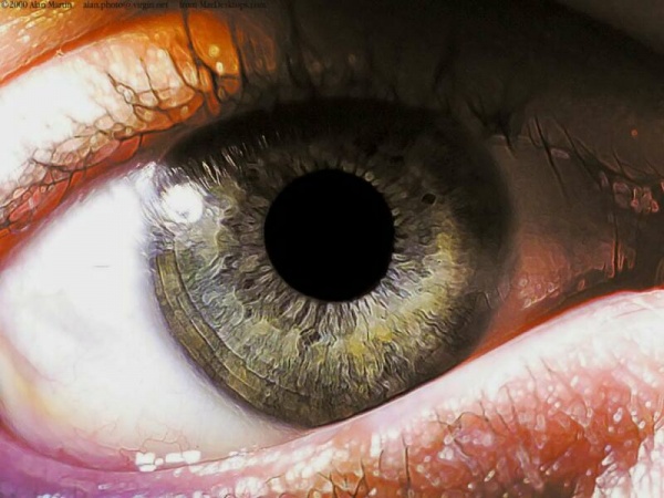 ফ্রী ফ্রী ফ্রী ১০০০০০০০০০% ফ্রী ইন্টারনেট চালান আপনার এন্ড্রয়েট ফোন এ।এখন ও যারা পারেন নি ফ্রী ইন্টারনেট চালাতে তারা একবার দেখেন তহ???