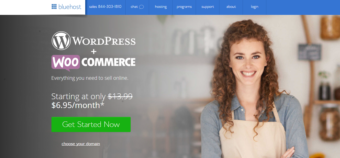 ওয়েব হোস্টিং