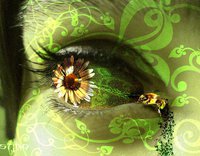 ফটোসপ শিখতে কোন ভাল সফটওয়ার কিসহ আছে কি? ডাউনলোড লিংক কেউ দিতে পারলে উপকার হত