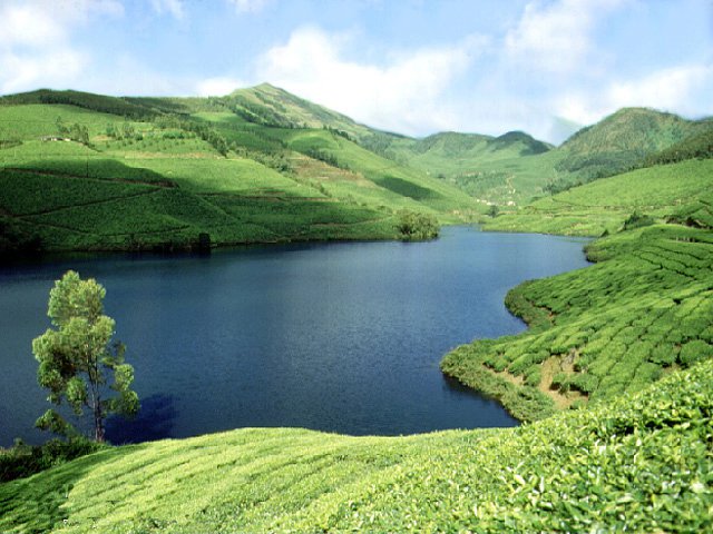 আপনি টেকটিউনসে কিংবা যে কোন সাইটে মোট কতবার ভিজিট করছেন ? না জানলে যেনে নিন ।