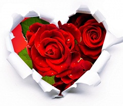 প্রজুক্তি নির্ভর আমাদের এবারের কোরবানির ঈদ!