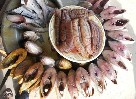 বরিশালের কৃষিবিদ টেক টিউনার ভাই রা আওয়াজ দেন