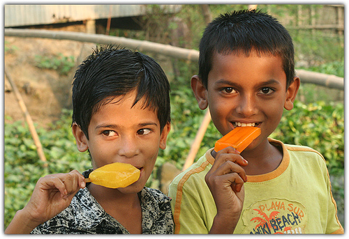 বিশ্বের সবচেয়ে দামী আইস্ক্রীম গুলো একনজর দেখে নিন।   ***(মাথা ঘুরালে দোষ আমার না)***