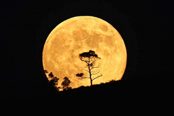 জিপি কে বাশ দিতে পারছেন না আপনার এন্ড্রুয়েড জেলিবিন 4.2.2 দিয়ে? তাহলে টিউনটি আপনার জন্য