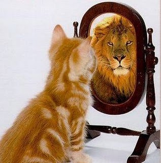 বাংলা বিলাই (বাংলালায়ন) এর অসহ্য যন্ত্রনা এবং এর পিছনের কারন, প্রতিবাদ, প্রতিরোধ