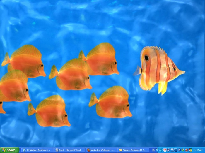 ছোট কিন্তু অসাধারণ একটি সফটওয়্যার দিয়ে নিজের ডেস্কটপে সৃষ্টি করুন জলতরঙ্গ