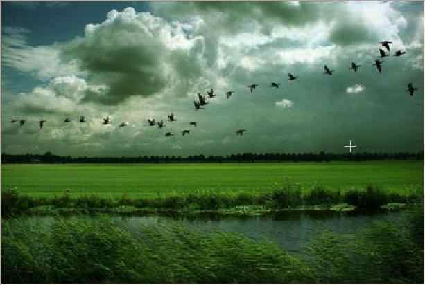 গ্যারান্টি দিয়ে বলতে পারি এত সুন্দর প্রাকৃতিক দৃশ্য আগে কখনও দেখেননি(পর্ব-২)