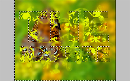 সফটওয়্যার ওপেন সমস্যা।