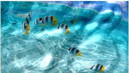 বন্যায় ভাসিয়ে দিন আপনার স্ক্রীন। (না দেখলে চরম মিস)