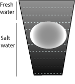 চোখের ভেলকি, ভালো ডিমকে পঁচিয়ে আবার ভালো করুন।