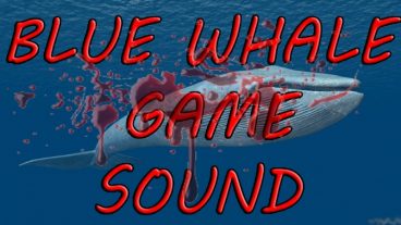 শুনুন ব্লু হোয়েল এর মিউজিক যা সহজেই করেছে হাজার হাজার ব্রেইন ওয়াস