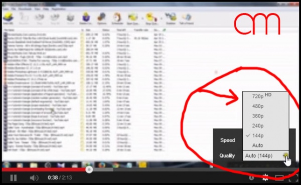How to Download Multiple Files Using IDM