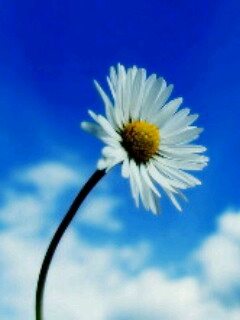 মানসিকভাবে সুস্থ রয়েছেন কি না জানতে নিজেকে করুন ১৩টি প্রশ: