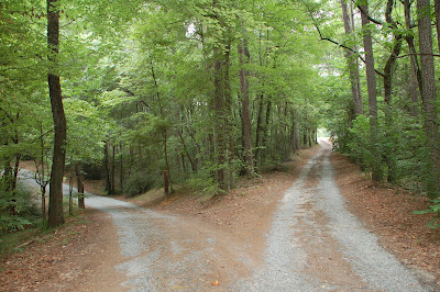 এন্টারপ্রেনারদের কথা- উদ্যোক্তাদের ভ্রমণ বিত্তান্ত-১০ টি দেখার মত ছবি