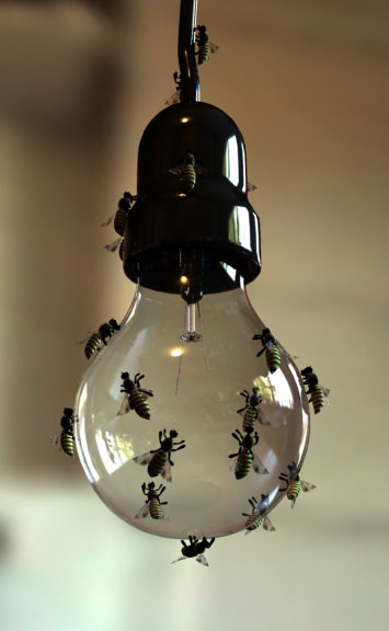 কেও জদি গান থেকে ভয়েস আলাদা করার  পদ্ধতি জানেন তাহলে জানাবেন।