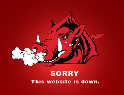 Liberty Reserve সাইট ডাউন / Siezed by US Govt.