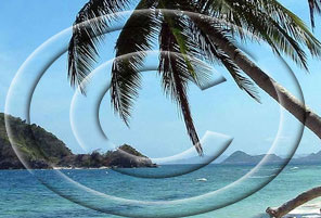 এডোবি-ফটোশপেই দিন কপিরাইট ওয়াটারমার্ক সহজেই