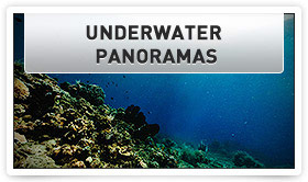 ঘরে বসেই পৃথিবী ঘুরুন। না দেথলেই মিস।