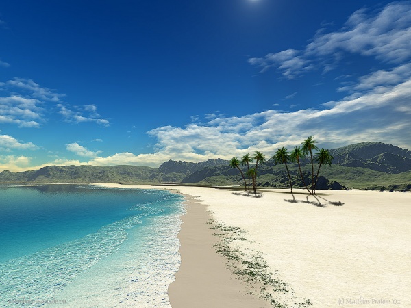 একটি সুন্দর জীবনবৃত্তান্ত (CV) তৈরীর কৌশল