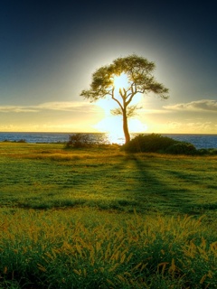 for share something for net user