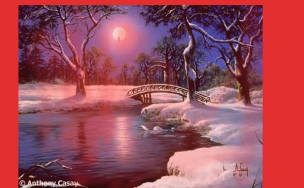 লোকাল কম্পিউটারে ওয়ার্ডপ্রেস সেটআপ পদ্ধতি