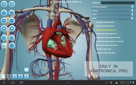 ১০টি ফ্রি এন্ড্রয়েড অ্যাপ নিয়ে নিন যারা মেডিকেল শিক্ষার্থী।অনেকেই আছেন MBBS, BDS, Nursing পড়ছেন, আজকের টিউনটি আপনাদের জন্যেই। এন্ড্রয়েডে প্লে স্টোরে আছে স্বাস্থ্য ও চিকিৎসা শিক্ষা সম্পর্কিত অসংখ্য অ্যাপ