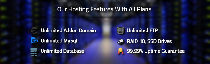 NetCone Hosting Features
