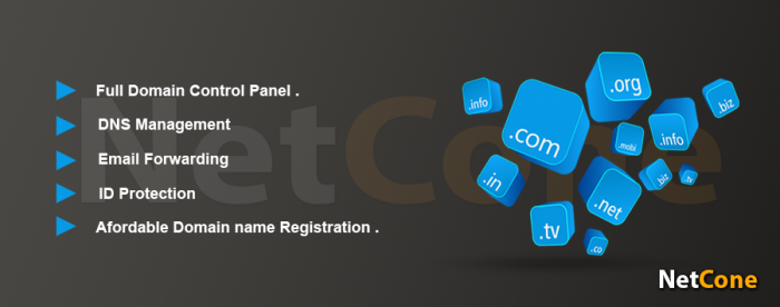 Netcone domain provider