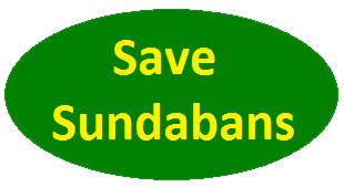 save sundarban