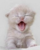 টেক টিউন এ টিউন করতে পারছি না।