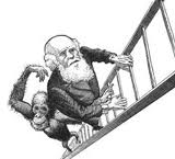 সৃষ্টিবাদীদের পনেরটি ভুল