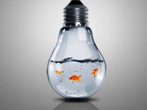 পরিবারের উপর নজরদারি করার নতুন অ্যাপ্লিকেশন! – সমাধান- এবার সবাই পারবেন্‌।