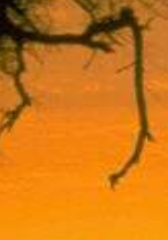 এক্সপার্ট দের  একটু সহযোগিতা  চাই … ???