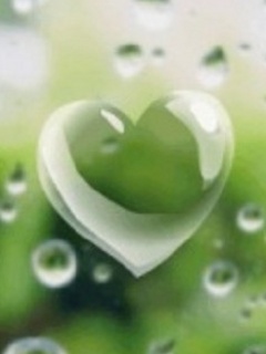 ভারতীয় বাংলা  ২টা ছবি এবং ছবিটির কিছু গান ‘ফ্রি’ ডাউনলোড তাও আবার মিডিয়াফেয়ারে লিংকে।