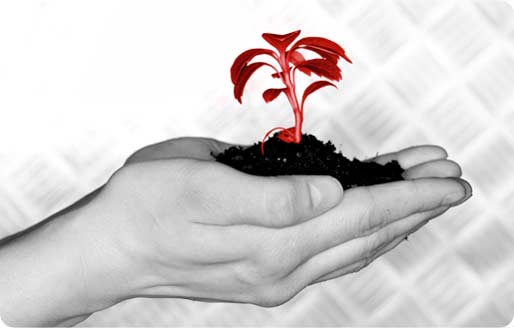 ফরেক্স সম্পূর্ণ ”বৈধ” কিন্তু, বেআইনি ক্রয়-বিক্রয় থেকে জনসাধারণকে সতর্ক করেছে বাংলাদেশ ব্যাংক।ব্যাংক এর ফ্রী কিছু টিপস?মিস করবেন না কিন্তু?