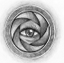 একটি পিডিএফ বই এর লিংক প্রয়োজন.।.।.।