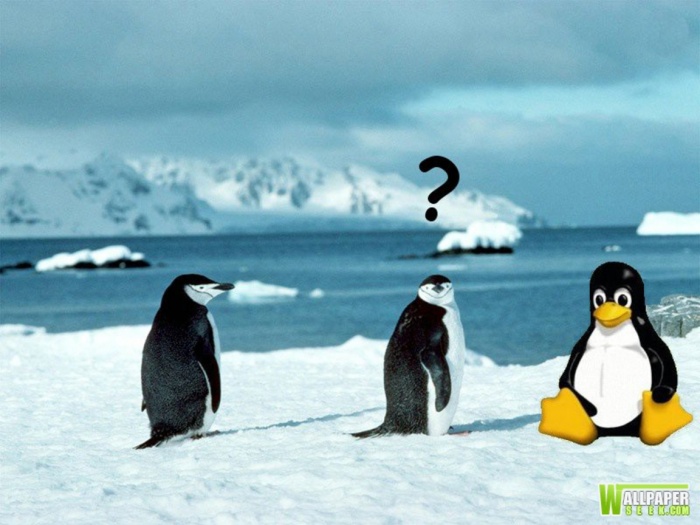 লিনাক্স এর গুরু যারা,তারা কি সত্যি ই চায়? নতুনরা লিনাক্স এ আসুক?