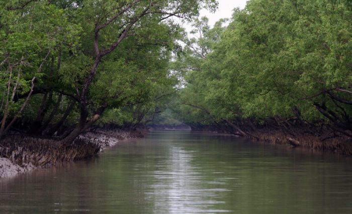 সকল টিউনার এর দৃষ্টি আকর্ষন করছি—-সপ্তাশ্চর্য নির্বাচনে পিছিয়ে পরেছে সুন্দরবন—-সবার সহযোগিতা দরকার